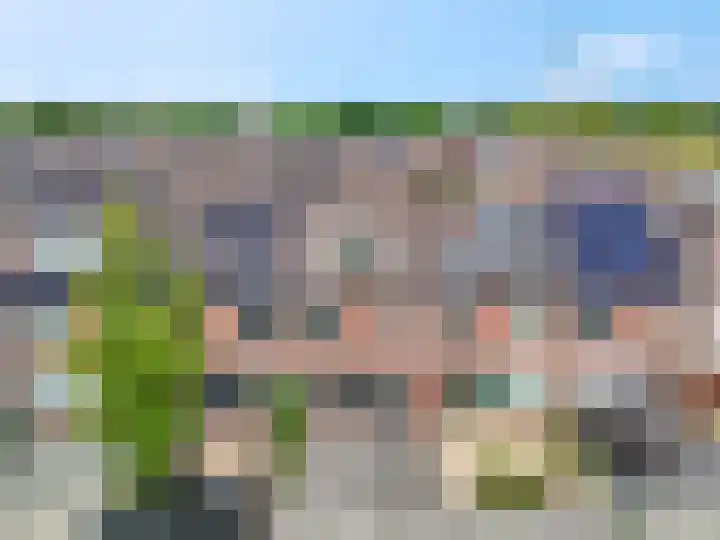 Zebravink 8 Veenendaal thumbnail 33