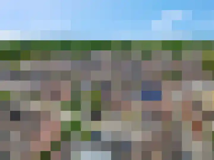 Zebravink 8 Veenendaal thumbnail 34