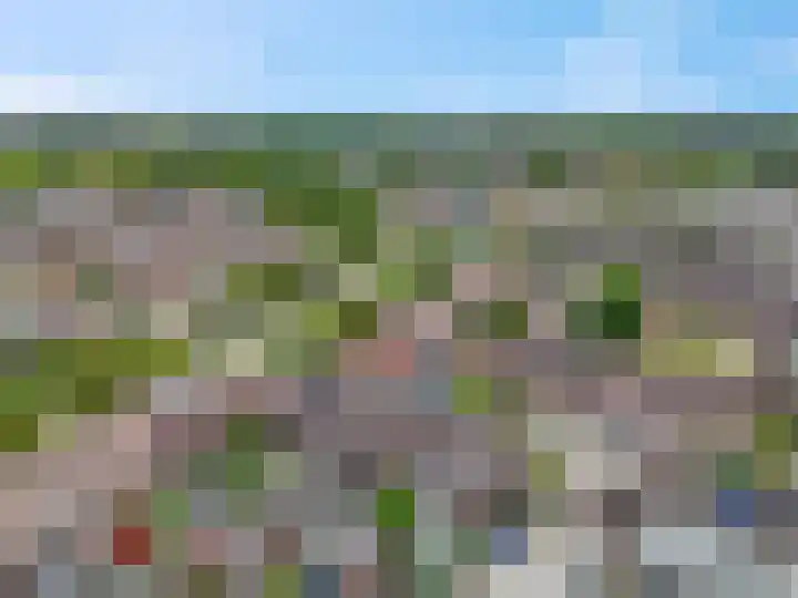 Zebravink 8 Veenendaal thumbnail 35