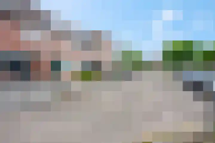 Zebravink 8 Veenendaal thumbnail 5