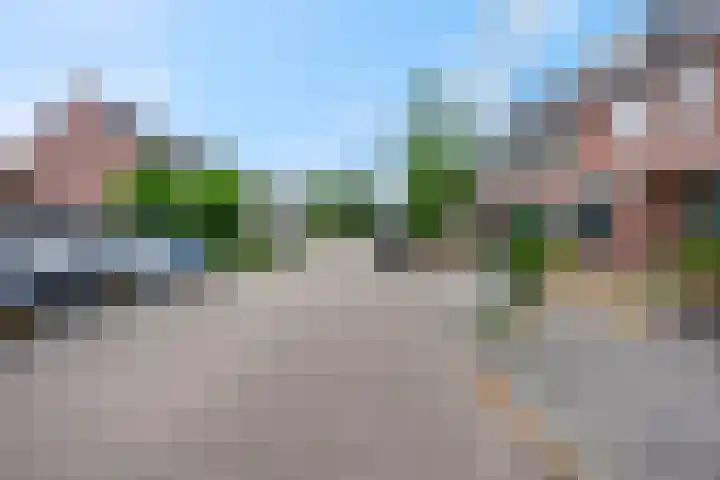 Zebravink 8 Veenendaal thumbnail 6