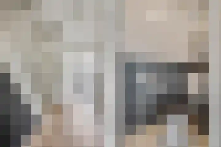 Zebravink 8 Veenendaal thumbnail 8