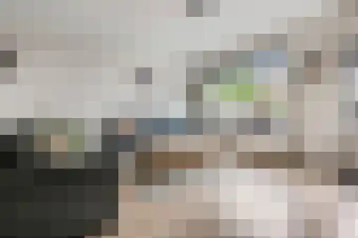 Zebravink 8 Veenendaal thumbnail 9