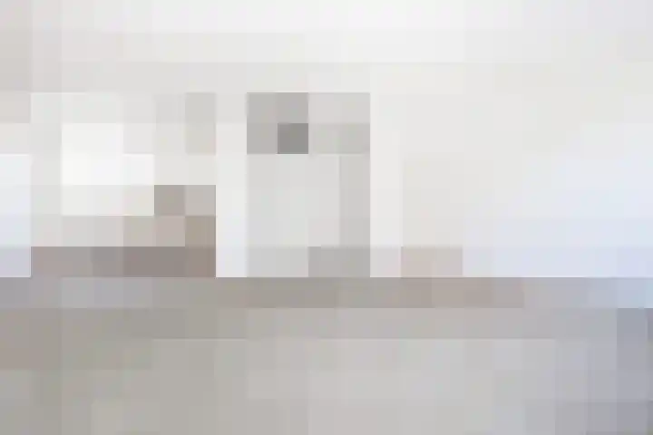 Zebraweide 1 Nieuwegein thumbnail 11