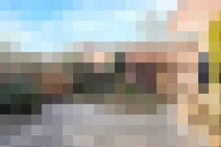 Zebraweide 1 Nieuwegein thumbnail 15