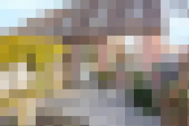 Zebraweide 1 Nieuwegein thumbnail 17