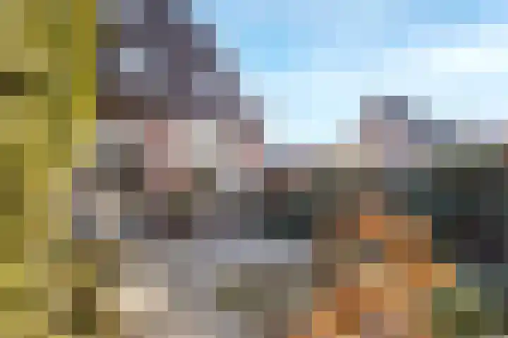Zebraweide 1 Nieuwegein thumbnail 18