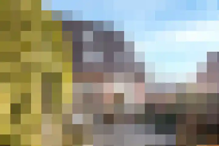 Zebraweide 1 Nieuwegein thumbnail 19