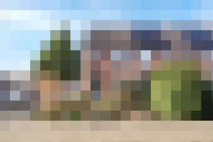 Zebraweide 1 Nieuwegein thumbnail 32