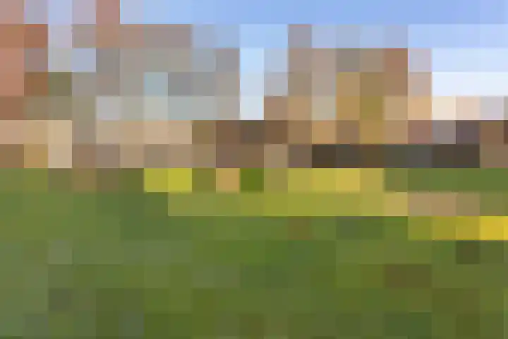Zebraweide 1 Nieuwegein thumbnail 35
