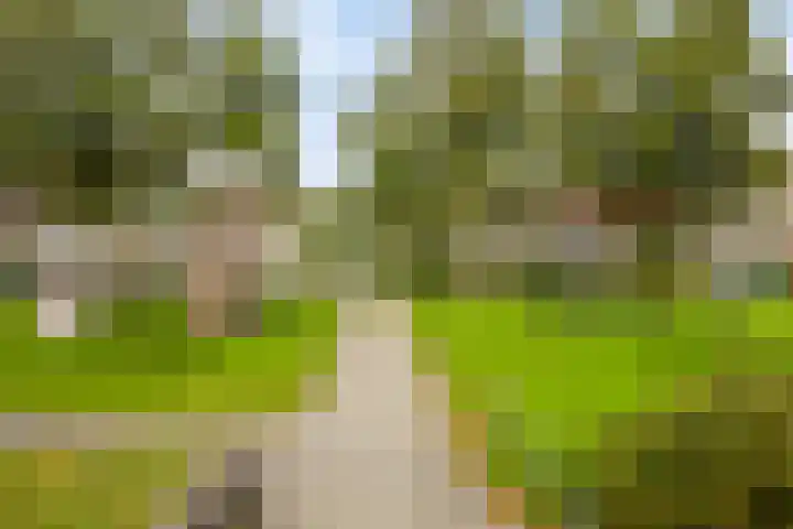 Zebraweide 1 Nieuwegein thumbnail 36