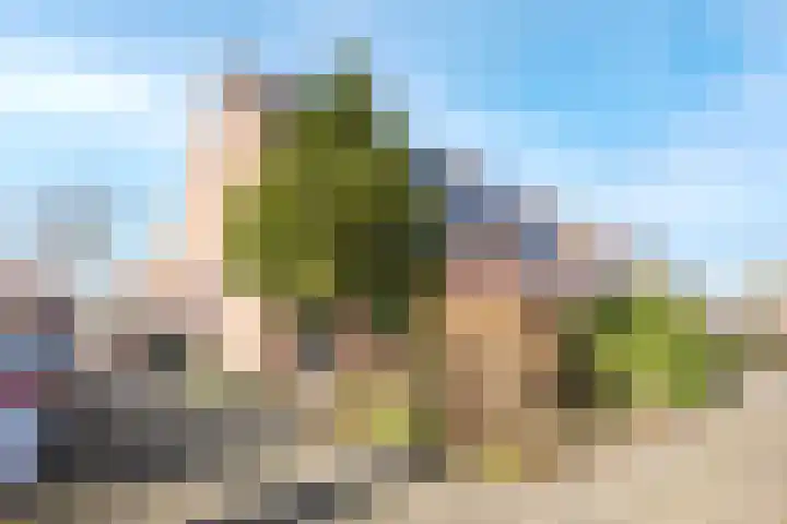 Zebraweide 1 Nieuwegein thumbnail 4