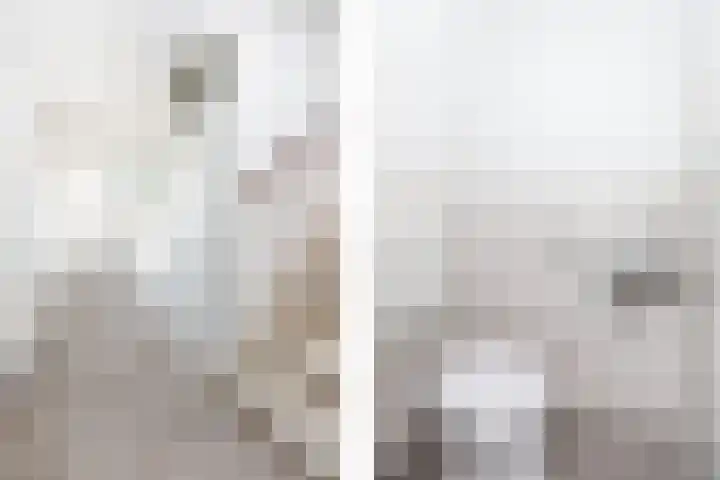 Zebraweide 1 Nieuwegein thumbnail 5