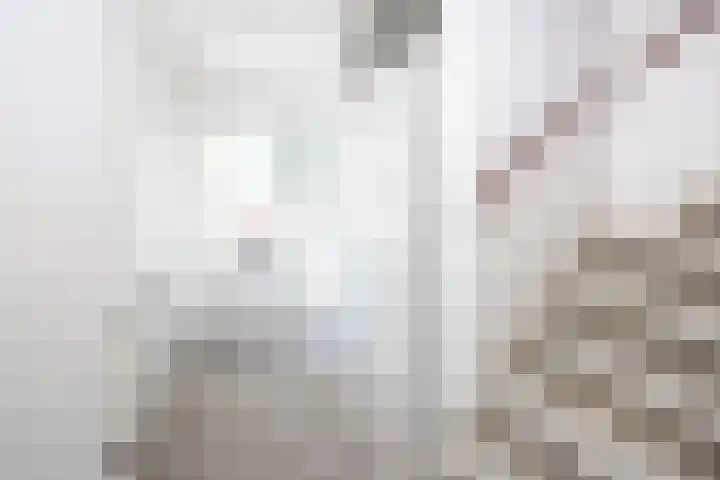 Zebraweide 1 Nieuwegein thumbnail 6