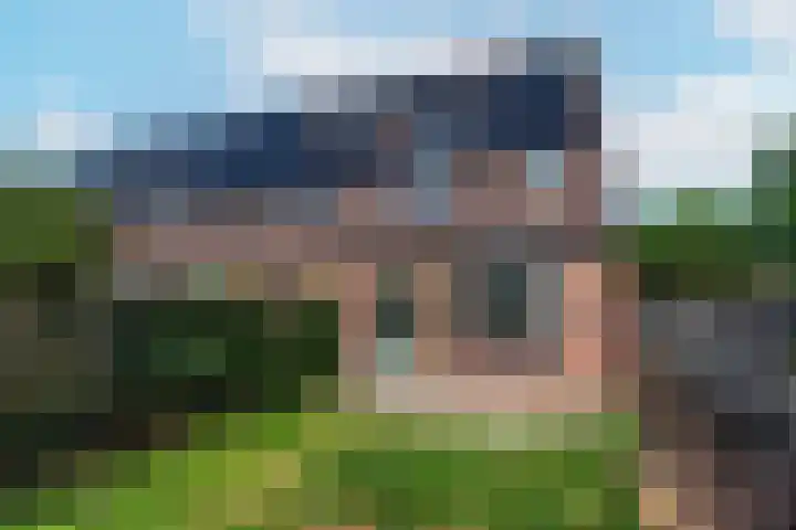Zebraweide 16 Nieuwegein thumbnail 10