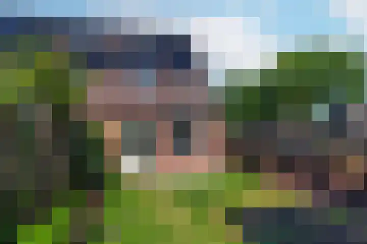 Zebraweide 16 Nieuwegein thumbnail 11