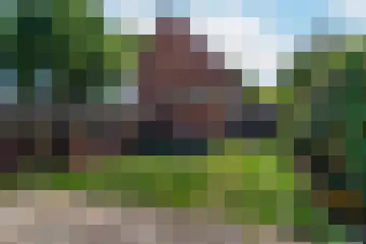 Zebraweide 16 Nieuwegein thumbnail 12
