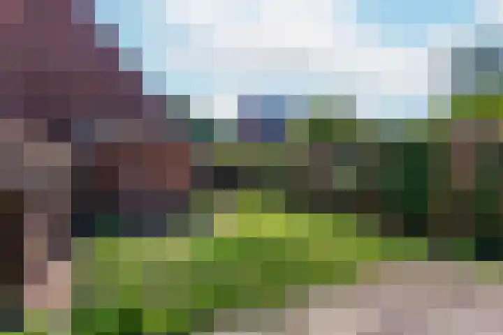 Zebraweide 16 Nieuwegein thumbnail 13