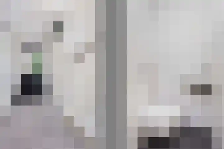 Zebraweide 16 Nieuwegein thumbnail 14