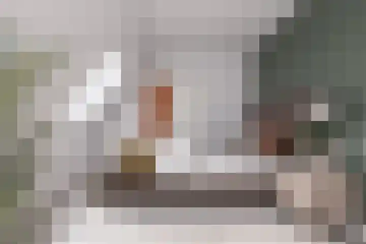 Zebraweide 16 Nieuwegein thumbnail 20