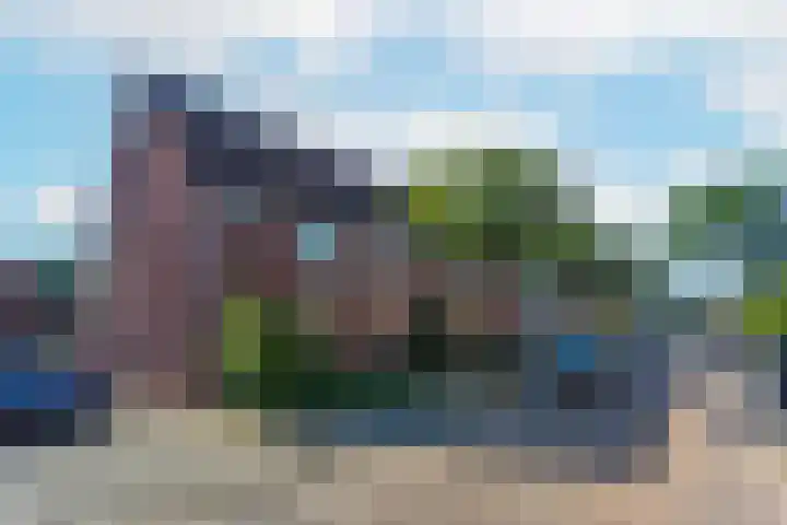 Zebraweide 16 Nieuwegein thumbnail 27