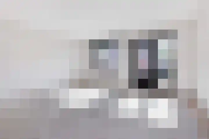 Zebraweide 16 Nieuwegein thumbnail 4