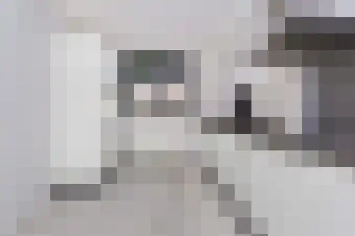 Zebraweide 16 Nieuwegein thumbnail 6