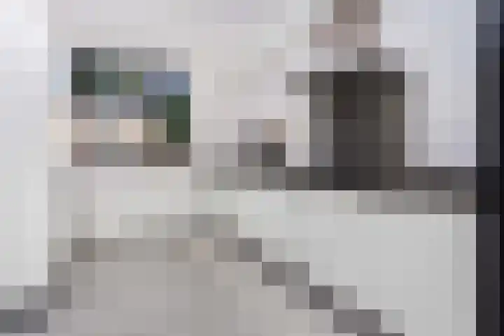 Zebraweide 16 Nieuwegein thumbnail 7