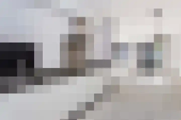 Zebraweide 16 Nieuwegein thumbnail 8