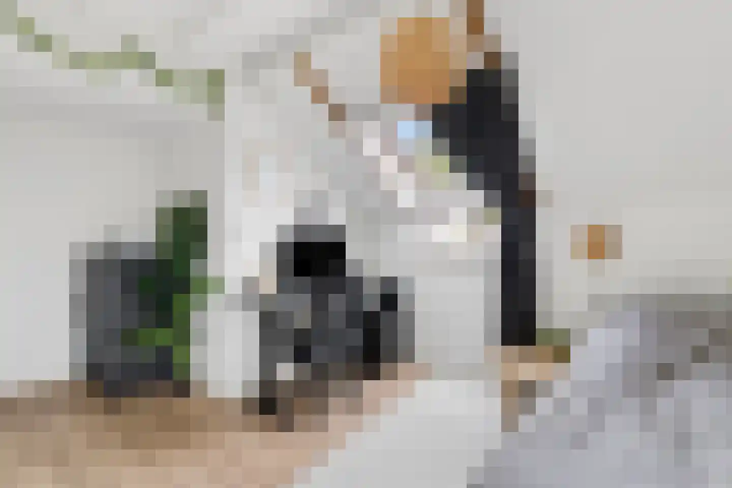 Zecksteeg 32 Ede thumbnail 11
