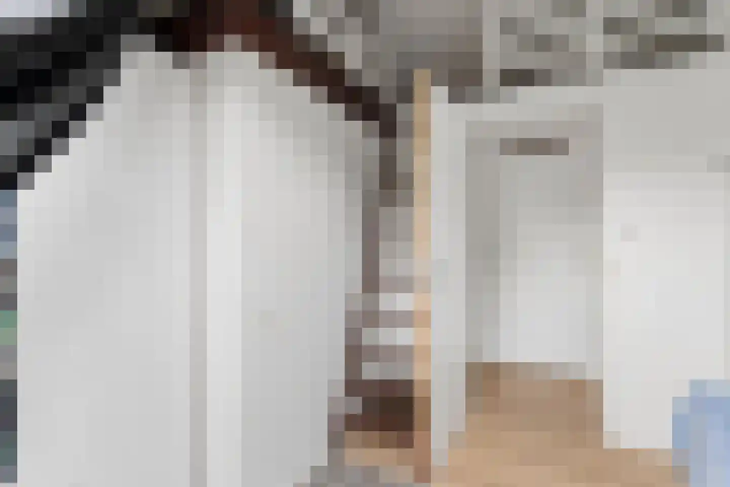 Zecksteeg 32 Ede thumbnail 13