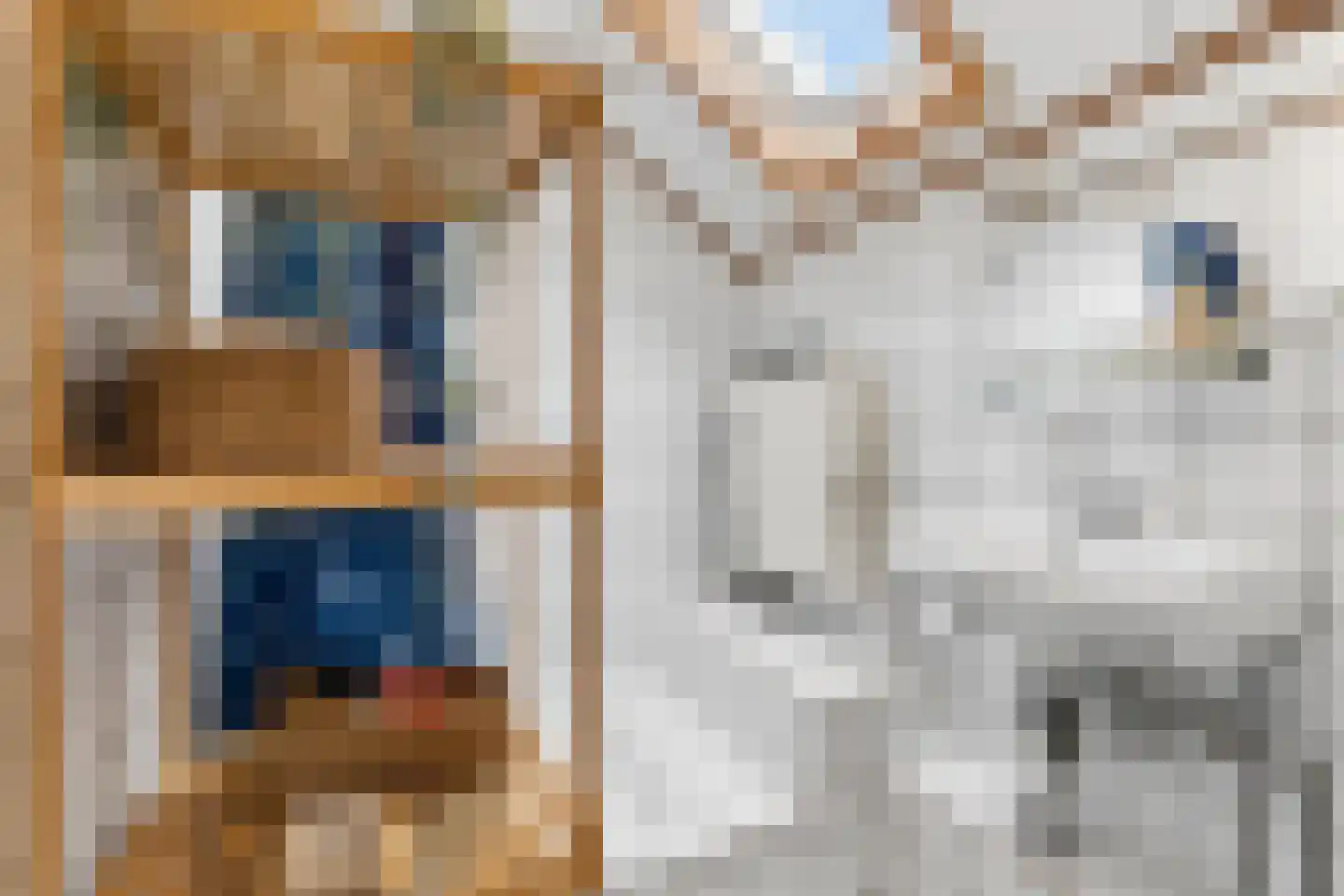Zecksteeg 32 Ede thumbnail 14