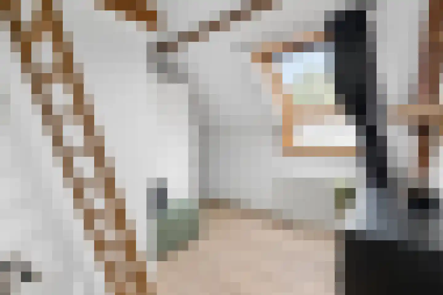 Zecksteeg 32 Ede thumbnail 17