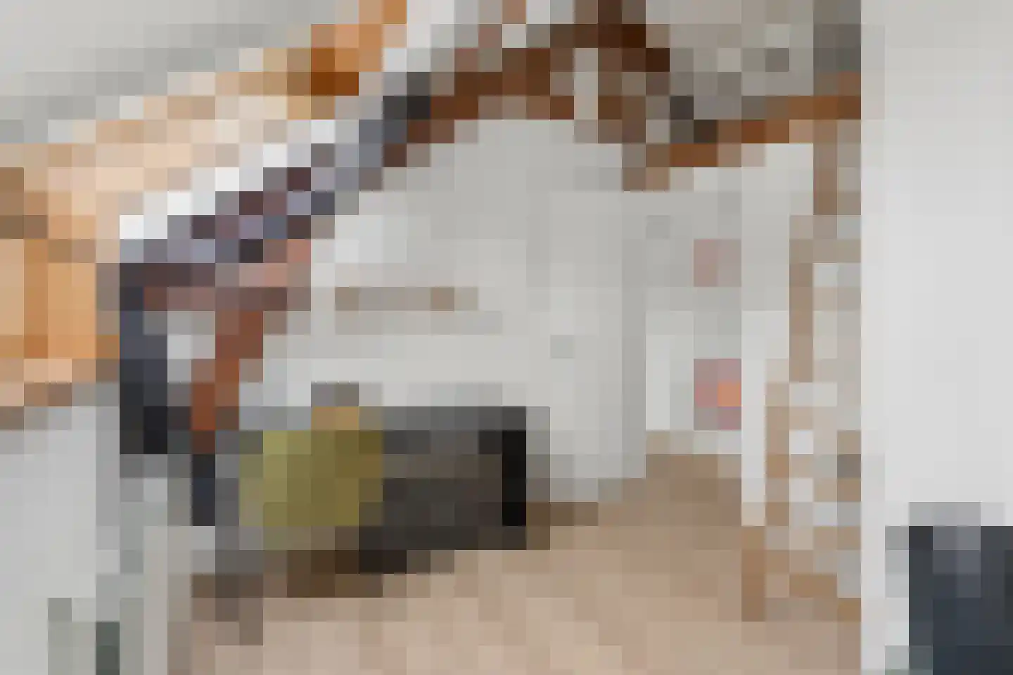 Zecksteeg 32 Ede thumbnail 18