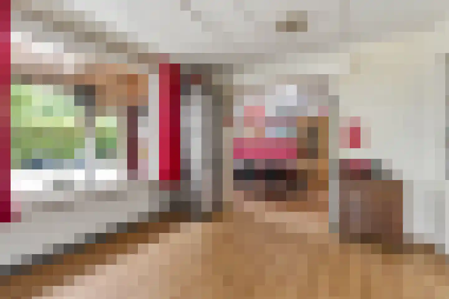 Zecksteeg 32 Ede thumbnail 30
