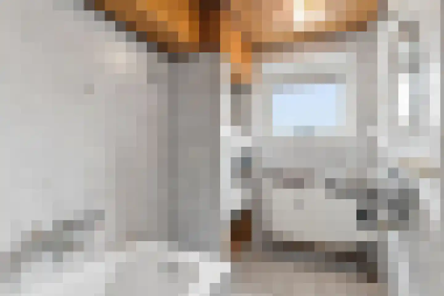 Zecksteeg 32 Ede thumbnail 35