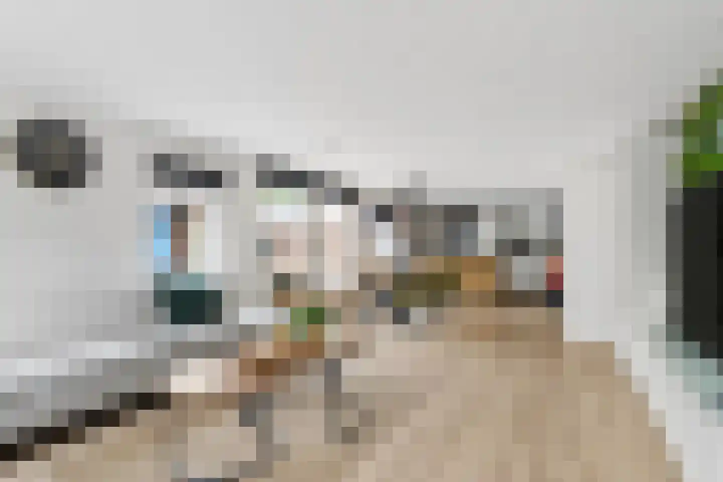 Zecksteeg 32 Ede thumbnail 4