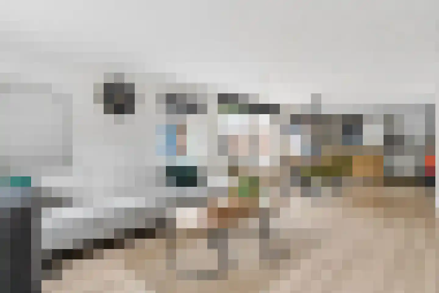 Zecksteeg 32 Ede thumbnail 5