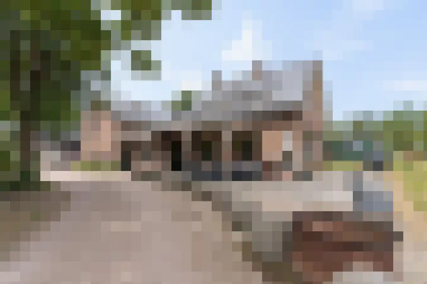 Zecksteeg 32 Ede thumbnail 52