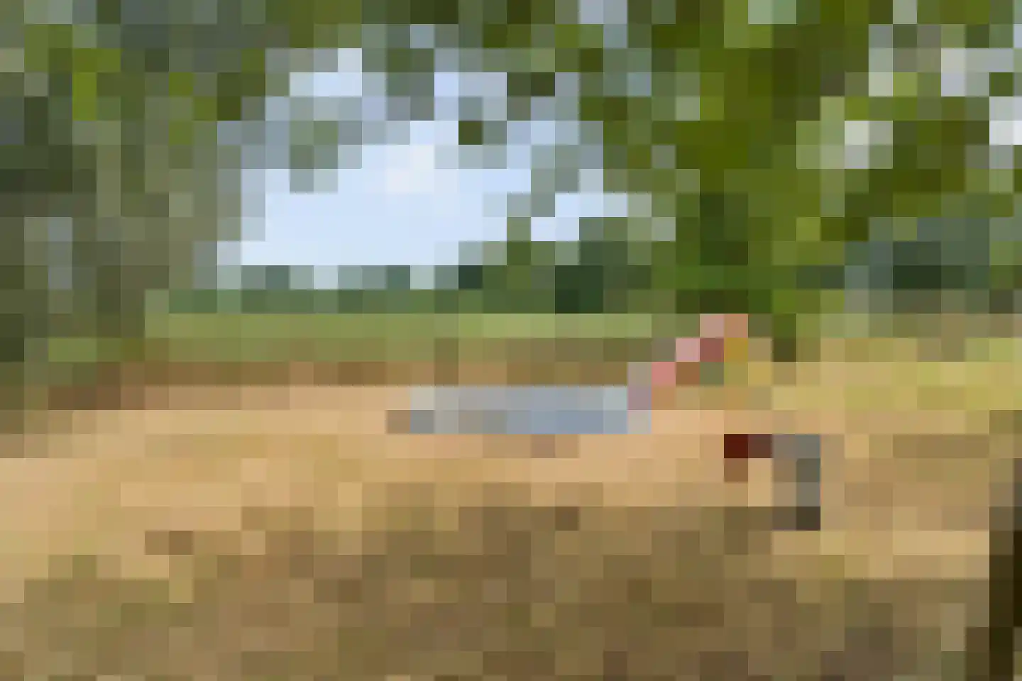 Zecksteeg 32 Ede thumbnail 55