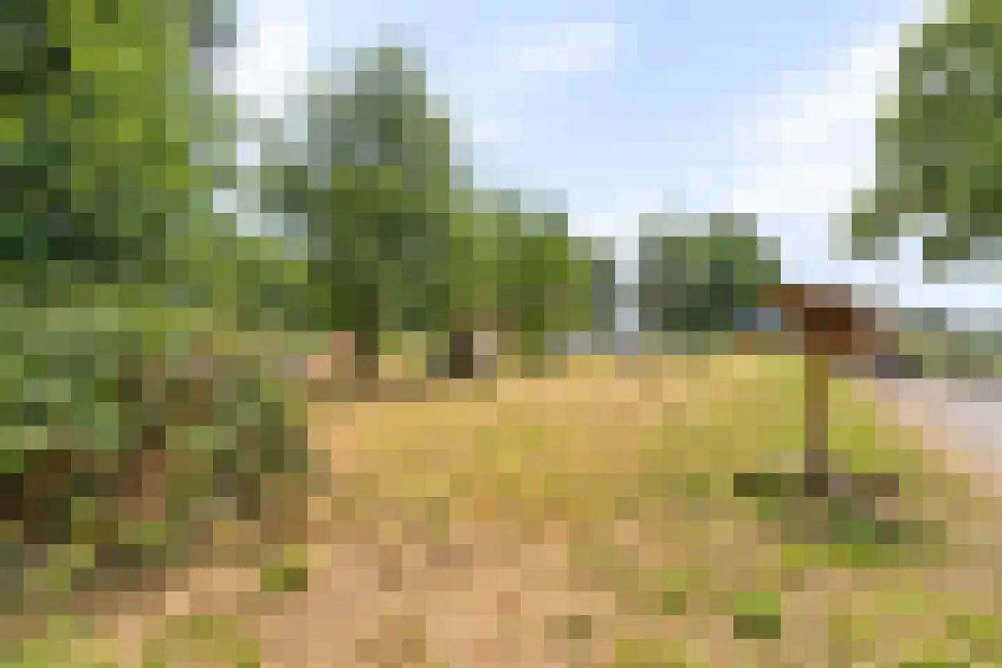 Zecksteeg 32 Ede thumbnail 56