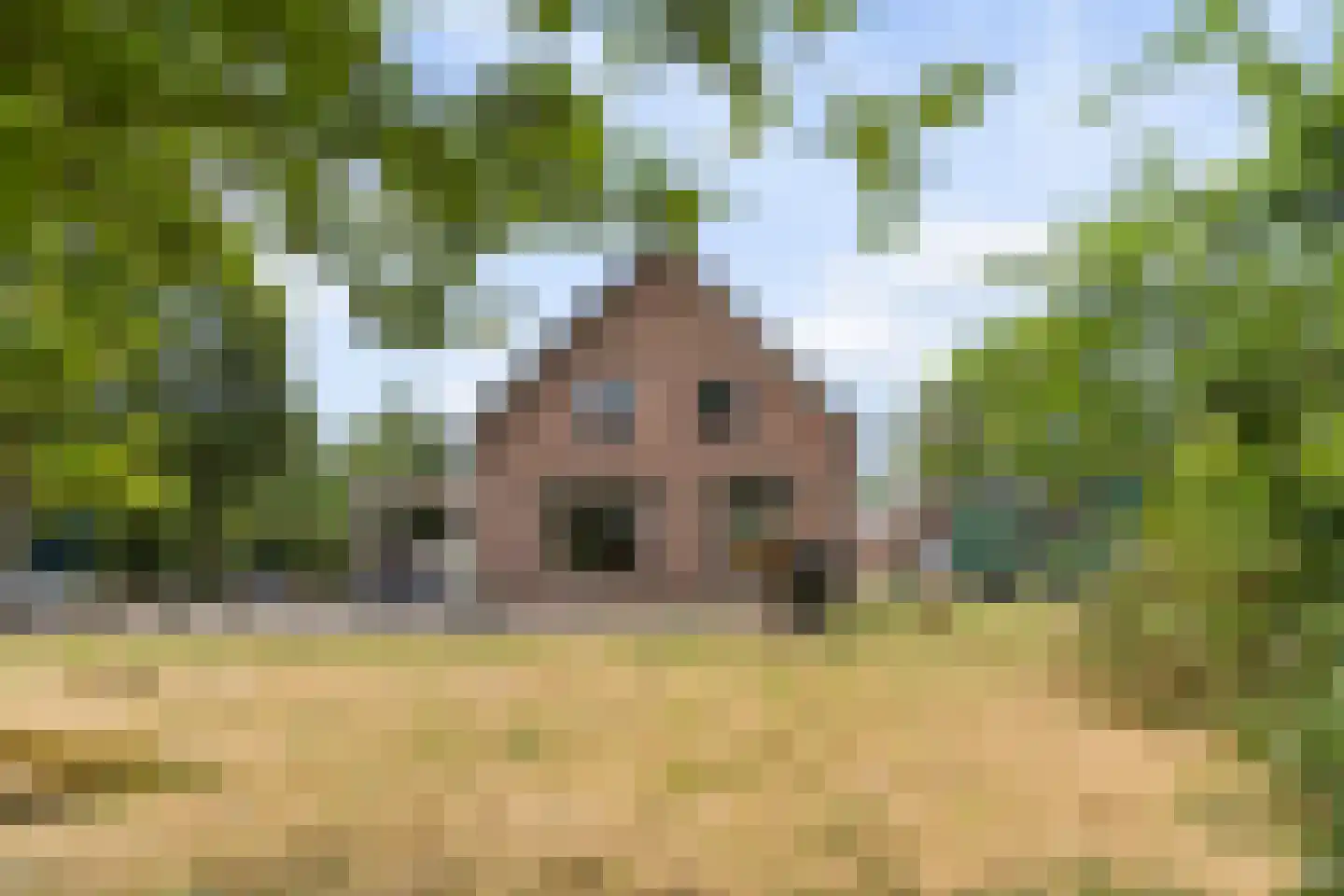 Zecksteeg 32 Ede thumbnail 57