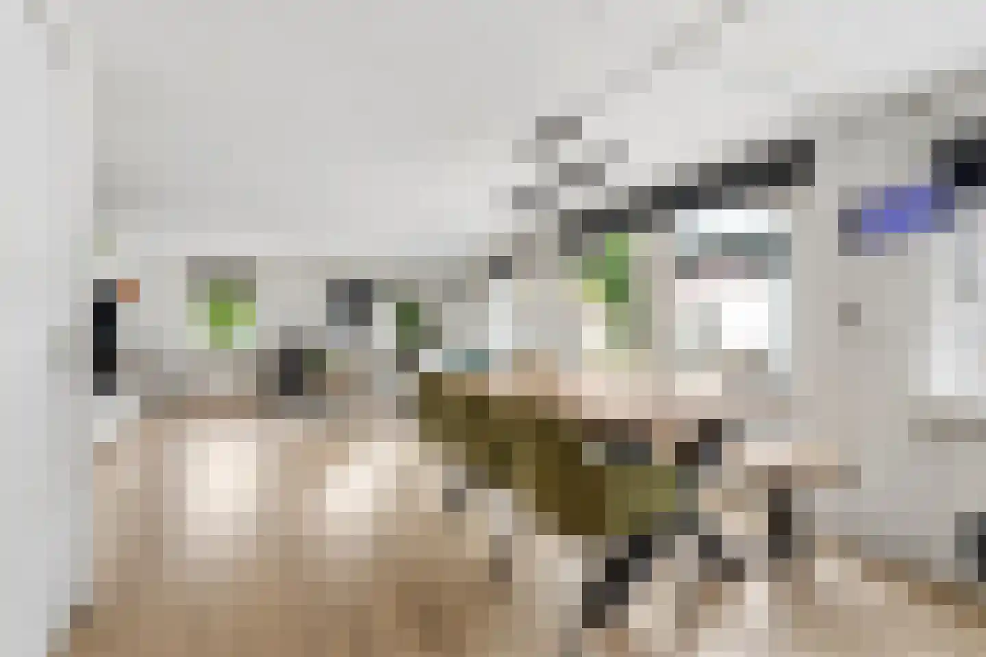 Zecksteeg 32 Ede thumbnail 6