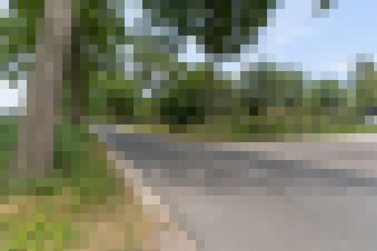 Zecksteeg 32 Ede thumbnail 60