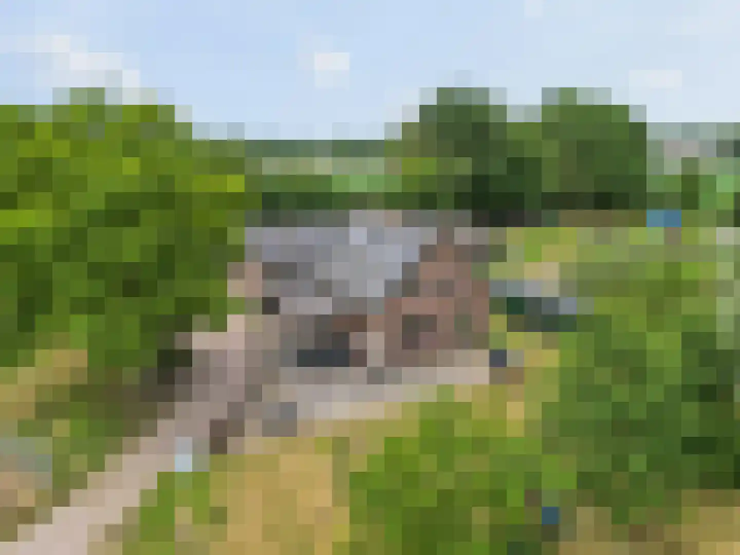 Zecksteeg 32 Ede thumbnail 61