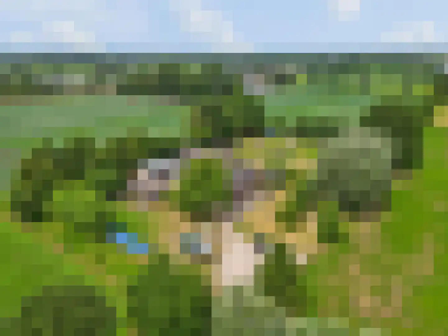 Zecksteeg 32 Ede thumbnail 62
