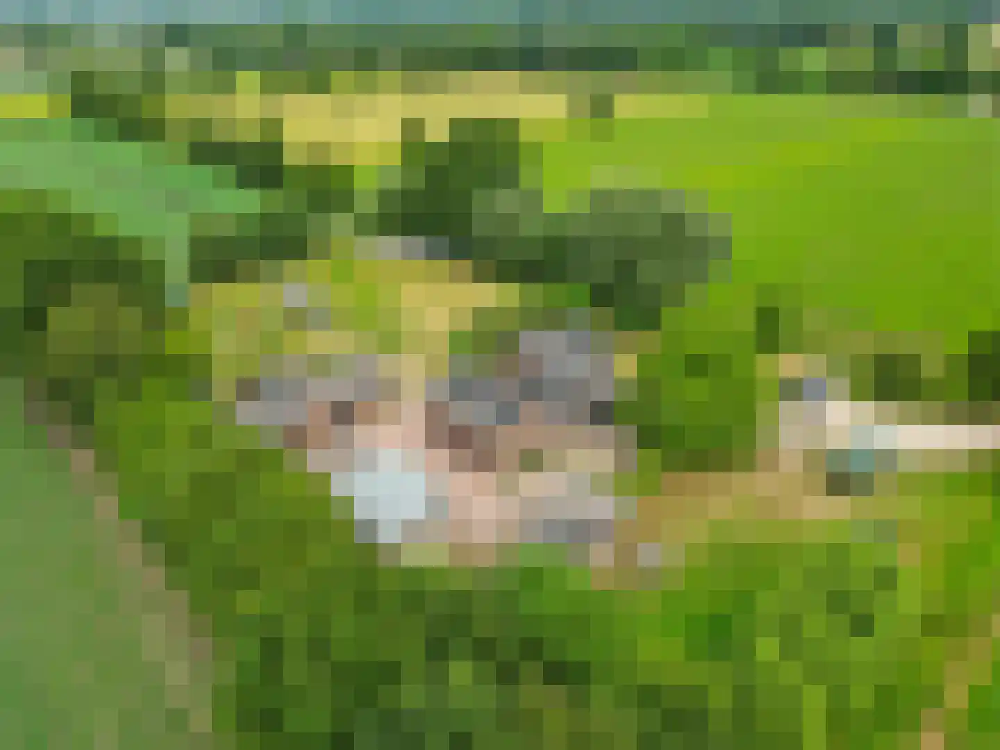 Zecksteeg 32 Ede thumbnail 64