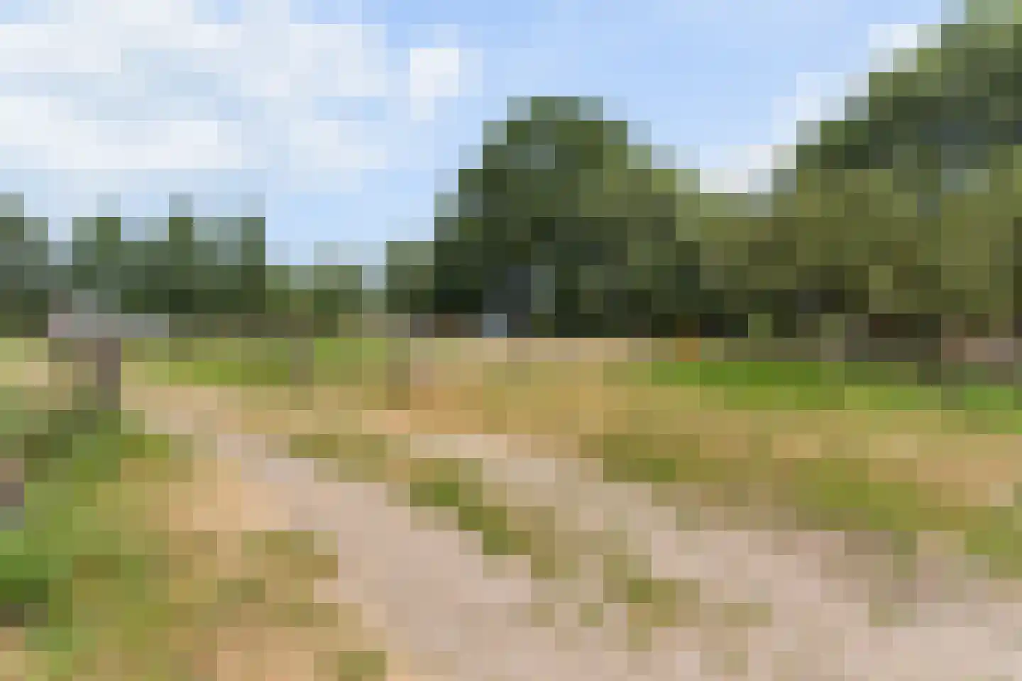 Zecksteeg 32 Ede thumbnail 66