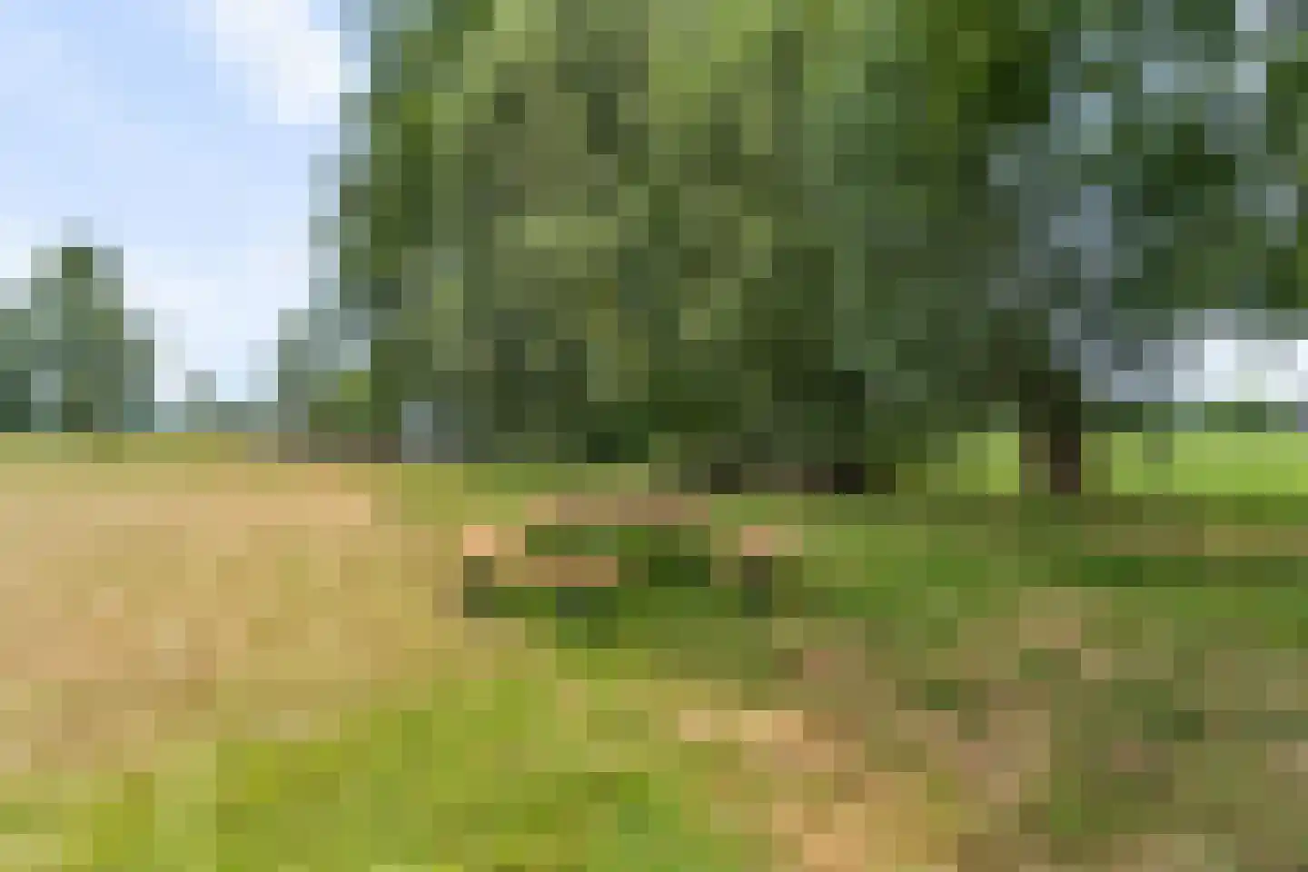 Zecksteeg 32 Ede thumbnail 67