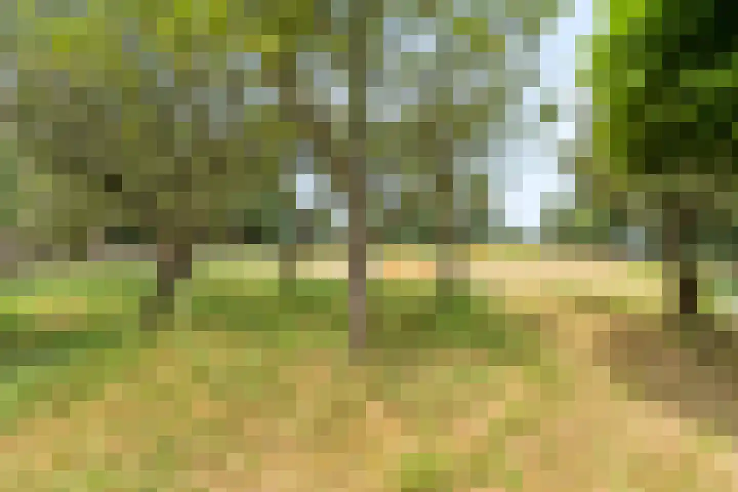 Zecksteeg 32 Ede thumbnail 68